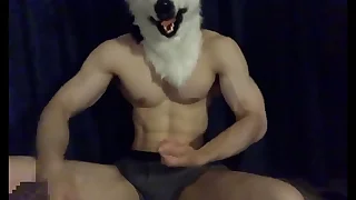 2611 cock porn videos